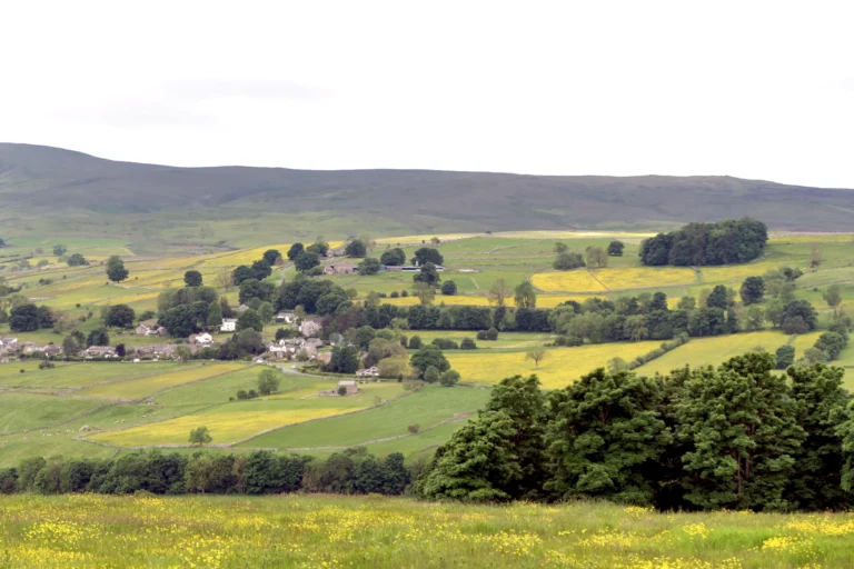Upland in the UK countryside