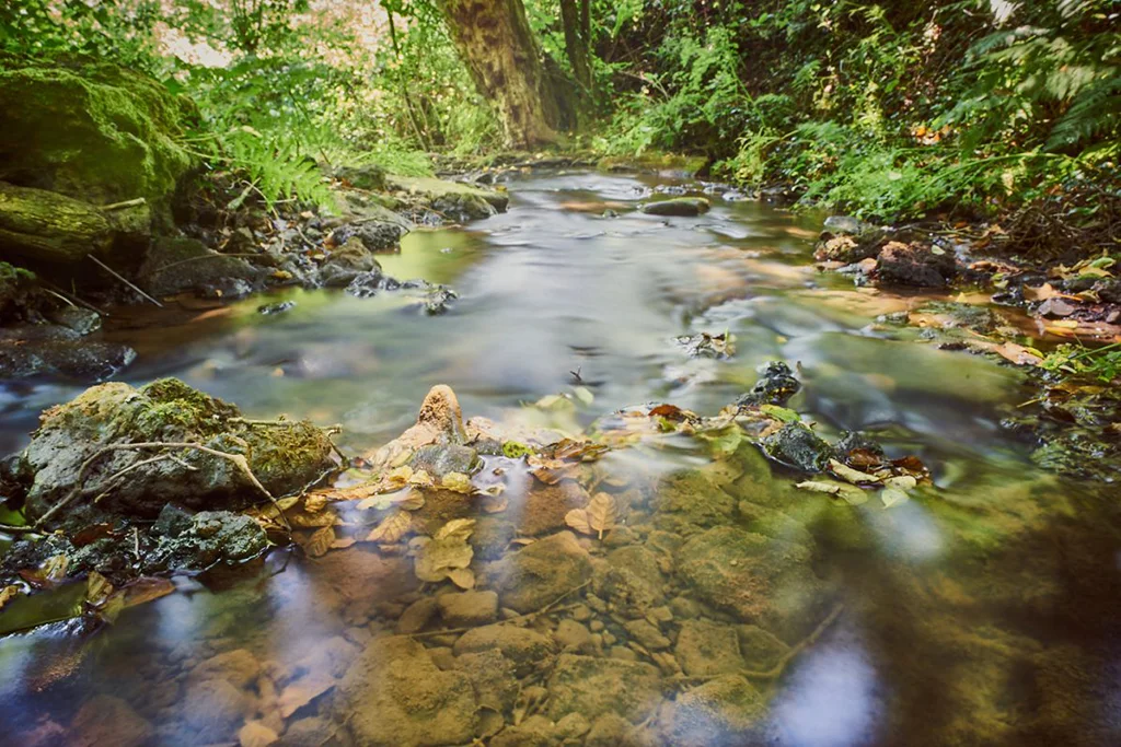 River flowing through deep-sided creek